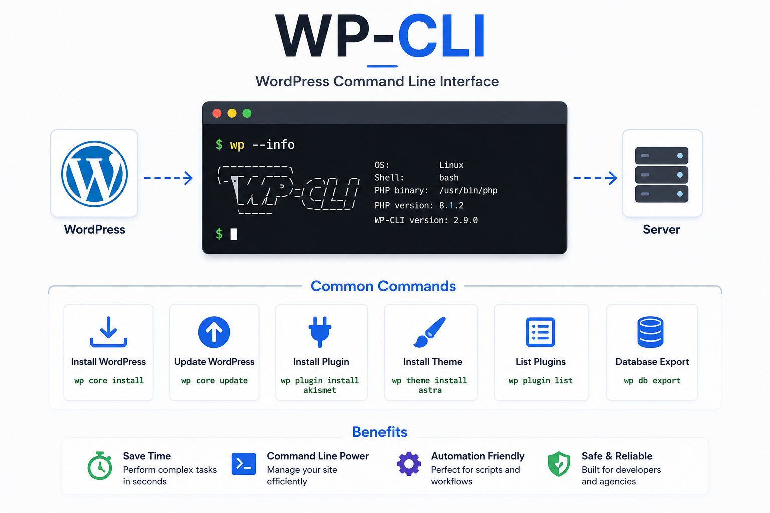 WP CLI